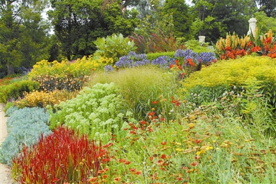 花境,園林景觀的“珍珠”