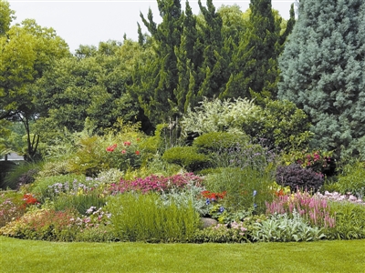 花境,園林景觀的“珍珠”