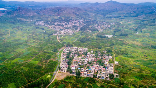 鄉村振興落地園林行業大有可為,但謹防走入誤區