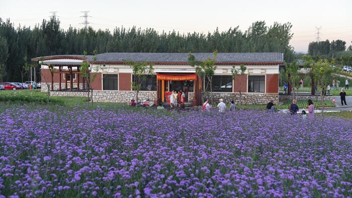 鄉村振興落地園林行業大有可為,但謹防走入誤區