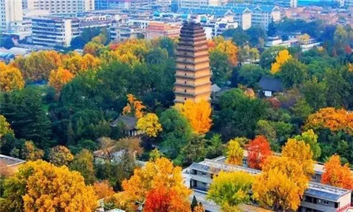 西安小雁塔的“不倒傳說”