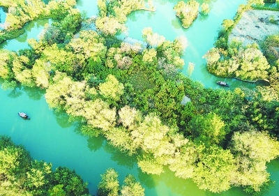 濕地保護,要景觀設計更要野花野草