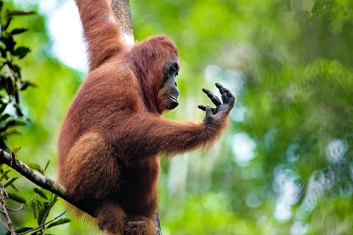 生物多樣性，讓你的景觀設(shè)計(jì)更有活力