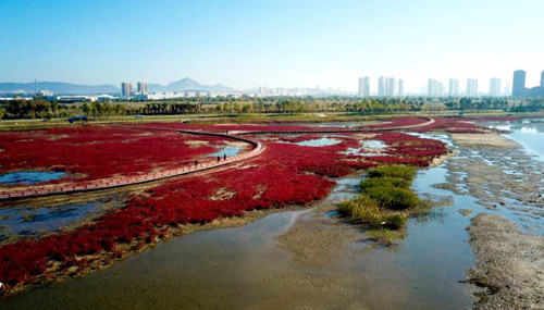 生物多樣性，讓你的景觀設(shè)計(jì)更有活力