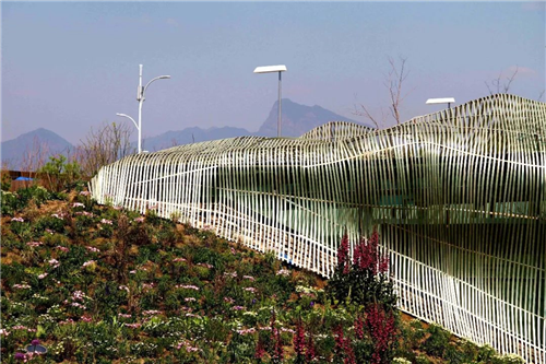 生物多樣性，讓你的景觀設(shè)計(jì)更有活力