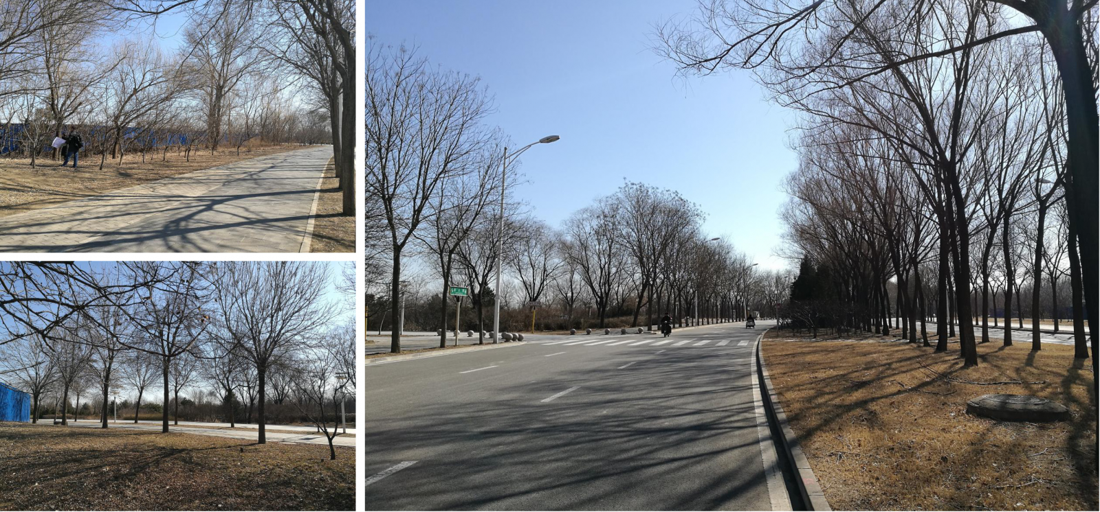 園點景觀李健宏:造境——景觀場地特質探尋