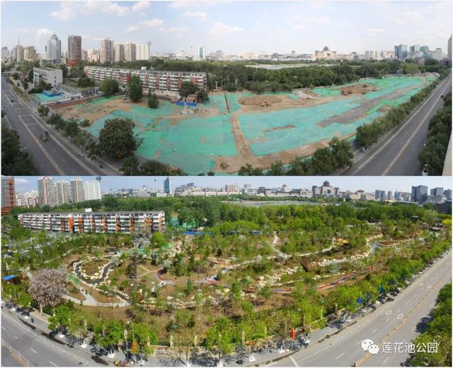 北京蓮花池公園:科技打造“城市森林”