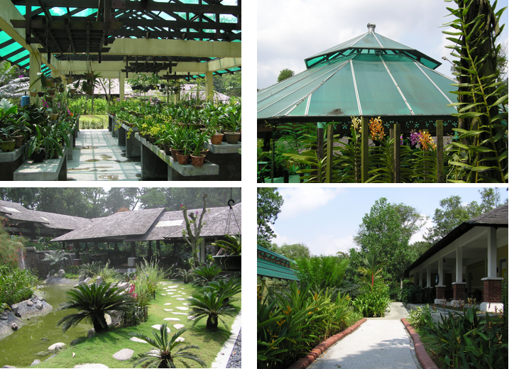 高溫天氣來襲，如何通過設計來為建筑降溫？