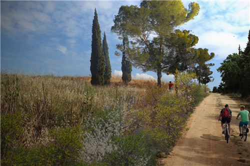 帕夫洛斯梅拉斯都市公園