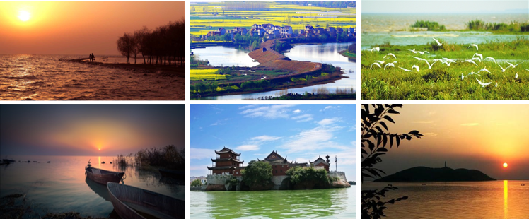 當代濱水景觀——景觀與生態共生