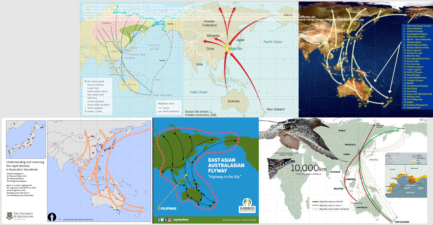 當代濱水景觀——景觀與生態共生