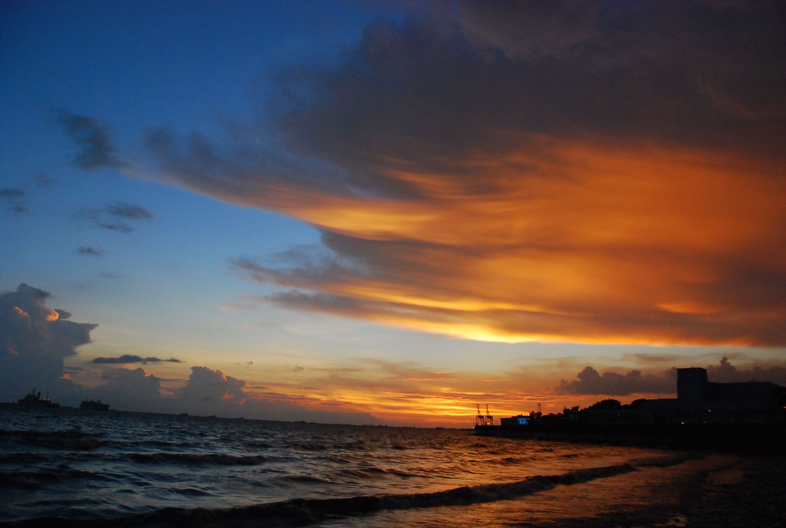 當代濱水景觀——景觀與生態共生