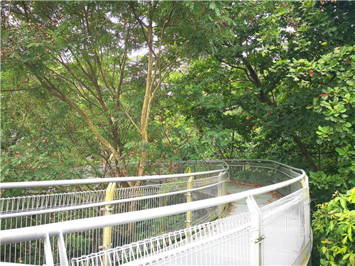 令人拍案叫絕的綠道景觀設計