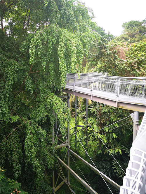 令人拍案叫絕的綠道景觀設計