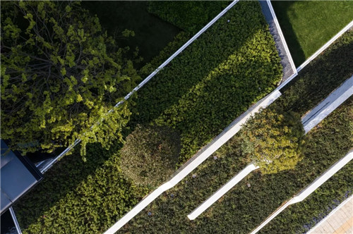 荷于景觀項目|武漢新城金郡示范區