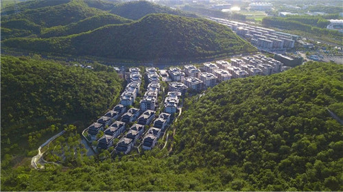 賽肯思景觀丨南京高科紫微堂大區