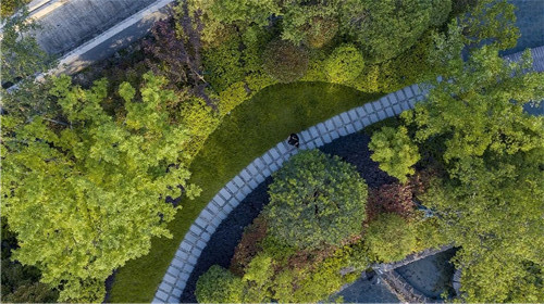 賽肯思景觀丨南京高科紫微堂大區