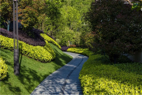 賽肯思景觀丨南京高科紫微堂大區