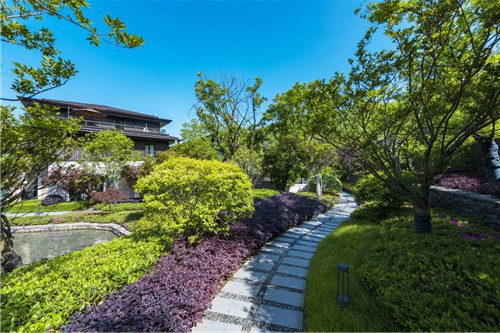 賽肯思景觀丨南京高科紫微堂大區