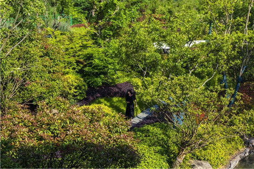 賽肯思景觀丨南京高科紫微堂大區