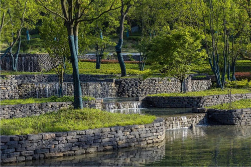 賽肯思景觀丨南京高科紫微堂大區