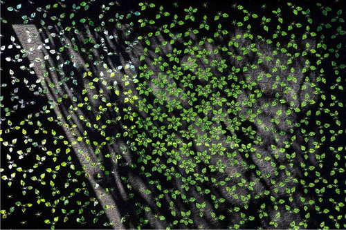 賽肯思景觀丨南京高科紫微堂大區