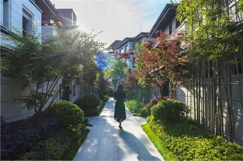 賽肯思景觀丨南京高科紫微堂大區