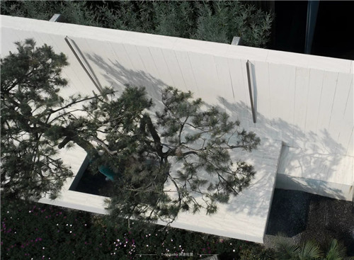 打造夢想中的自然棲息地丨浙江龍湖坤和·天境