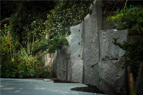 打造夢想中的自然棲息地丨浙江龍湖坤和·天境