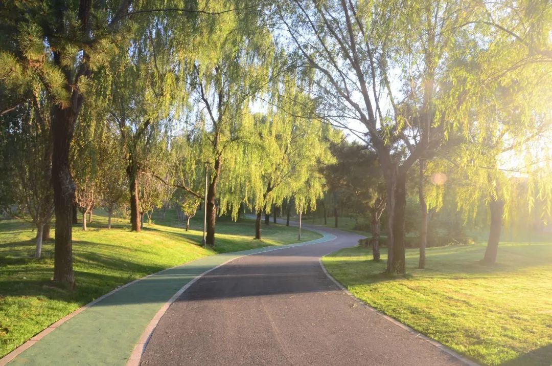 山水比德作品丨陽光城?君山墅