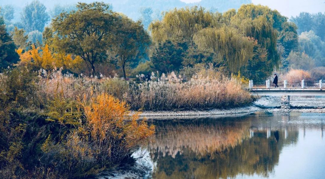 山水比德作品丨陽光城?君山墅