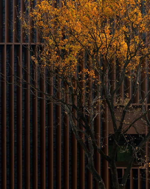 山水比德作品丨陽光城?君山墅