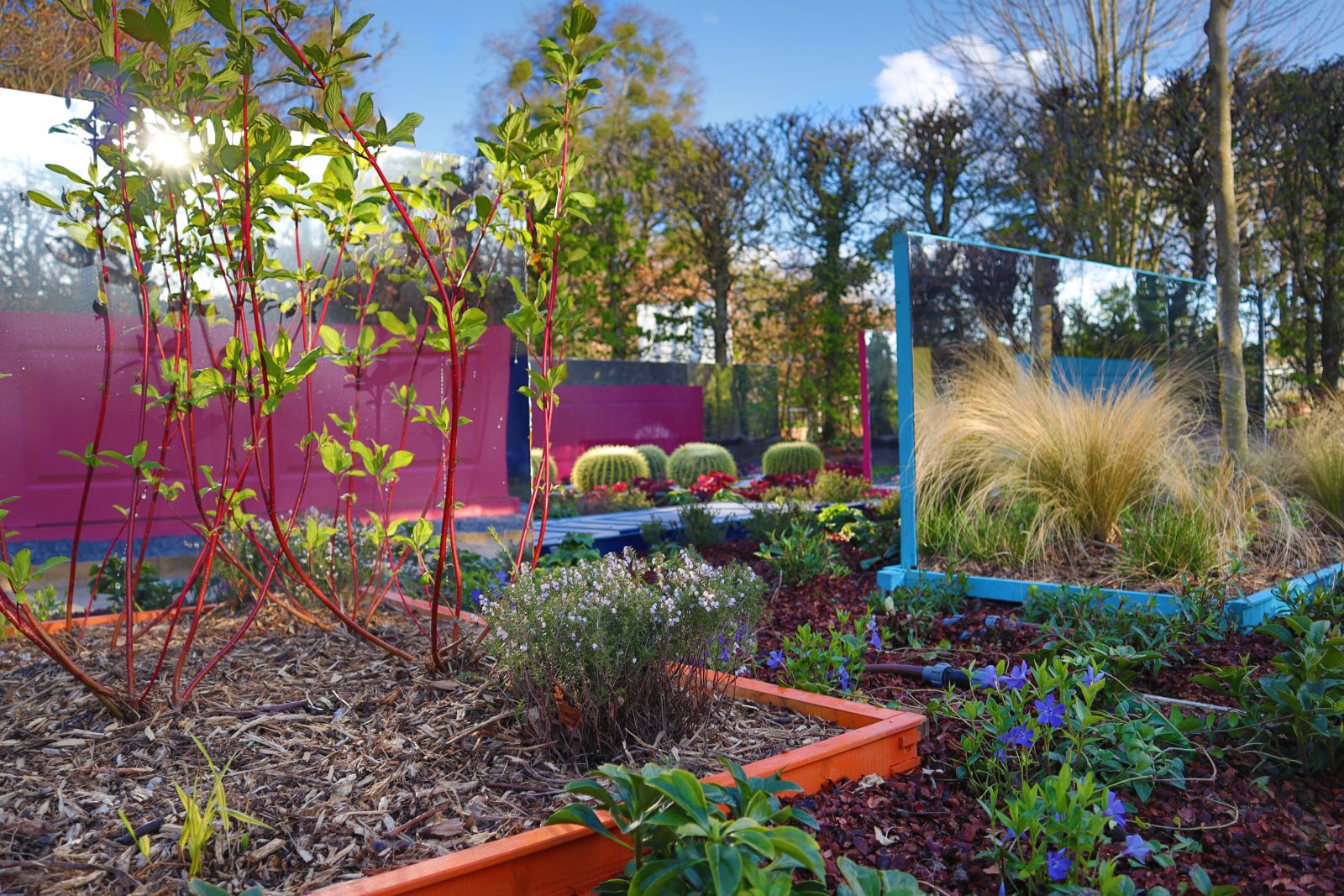 20個(gè)門(mén)庭