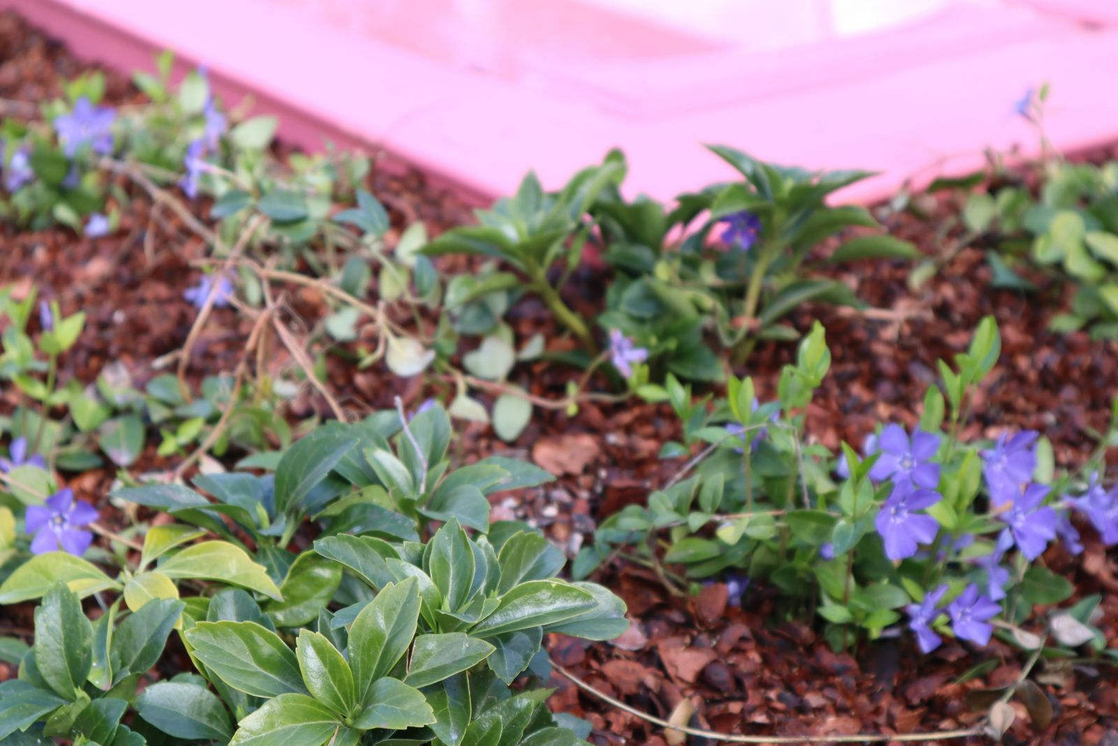 20個(gè)門(mén)庭