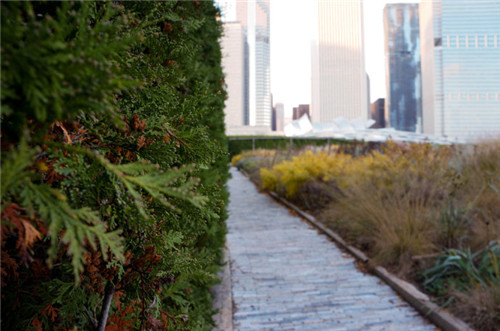 埃菲爾鐵塔周邊將改造為大花園,由哪位大師設(shè)計(jì)?