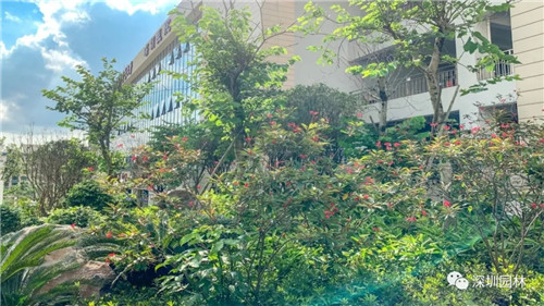 雖然這是座醫院，但景觀美的不像話！