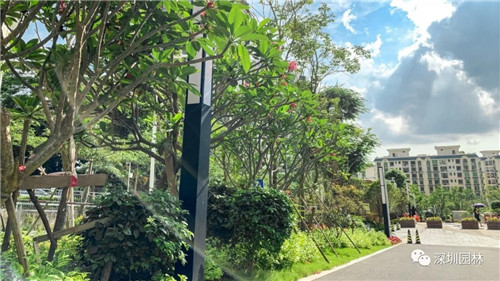 雖然這是座醫院，但景觀美的不像話！