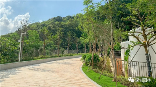 雖然這是座醫院，但景觀美的不像話！