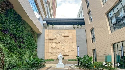 雖然這是座醫院，但景觀美的不像話！