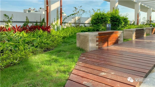 雖然這是座醫院，但景觀美的不像話！