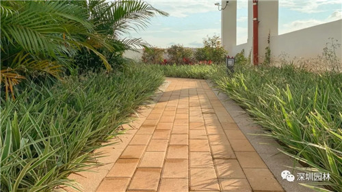 雖然這是座醫院，但景觀美的不像話！