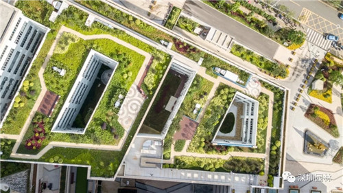 雖然這是座醫院，但景觀美的不像話！