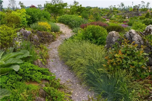 “秘密花園”，云漫湖的詩(shī)與遠(yuǎn)方！
