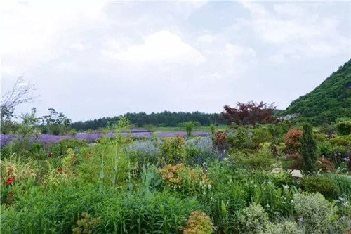 “秘密花園”，云漫湖的詩(shī)與遠(yuǎn)方！