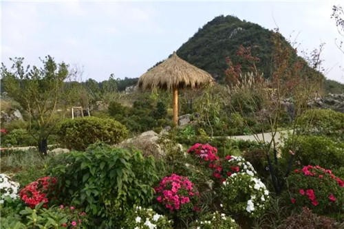 “秘密花園”，云漫湖的詩(shī)與遠(yuǎn)方！