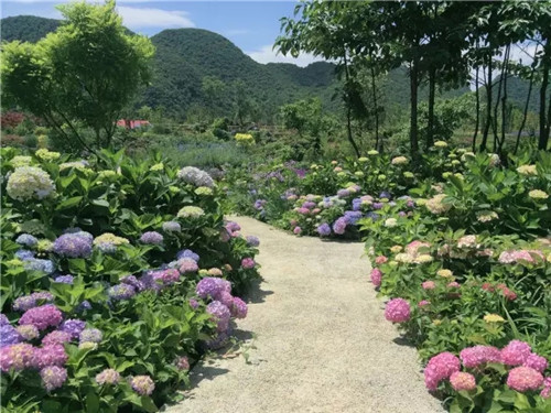 “秘密花園”，云漫湖的詩(shī)與遠(yuǎn)方！