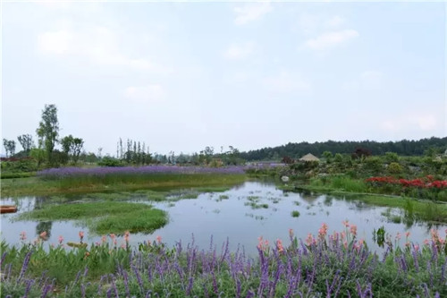 “秘密花園”，云漫湖的詩(shī)與遠(yuǎn)方！