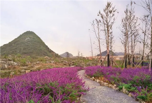 “秘密花園”，云漫湖的詩(shī)與遠(yuǎn)方！