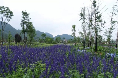 “秘密花園”，云漫湖的詩(shī)與遠(yuǎn)方！