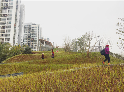 深圳美溪景觀作品丨重慶大水井體育文化公園